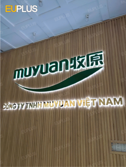 backdrop logo công ty